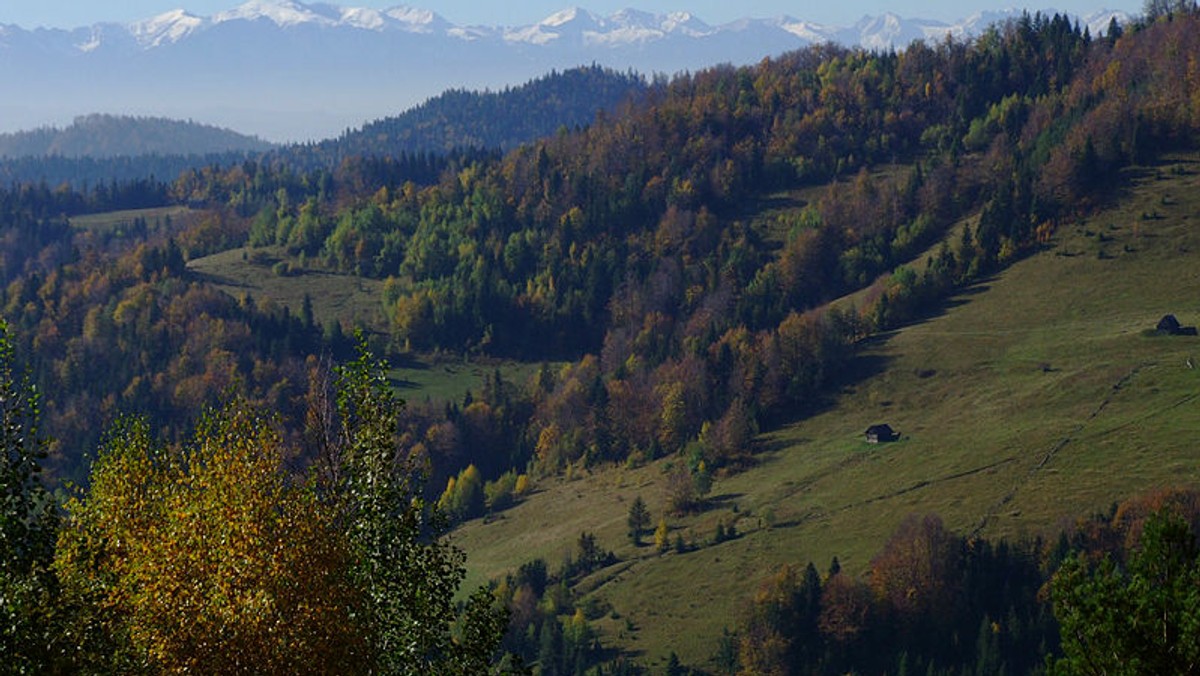 Prawie 20 weteranów, reprezentujących nową generację, bierze udział w rehabilitacyjnym rajdzie górskim w Gorcach (woj. małopolskie). Dziś zamierzają zdobyć najwyższy szczyt tego pasma – Turbacz (1315 m n.p.m.). Wyprawa potrwa do poniedziałku.