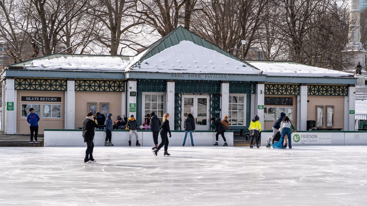 Žena na klizanju - ilustracija