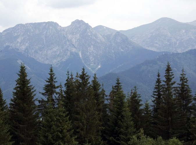 Zakopane - Polana Szymoszkowa