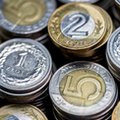 Złoty rozkwita na wiosnę. Najsilniejszy od lat wobec euro