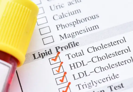 Cholesterol HDL, czyli ten dobry cholesterol