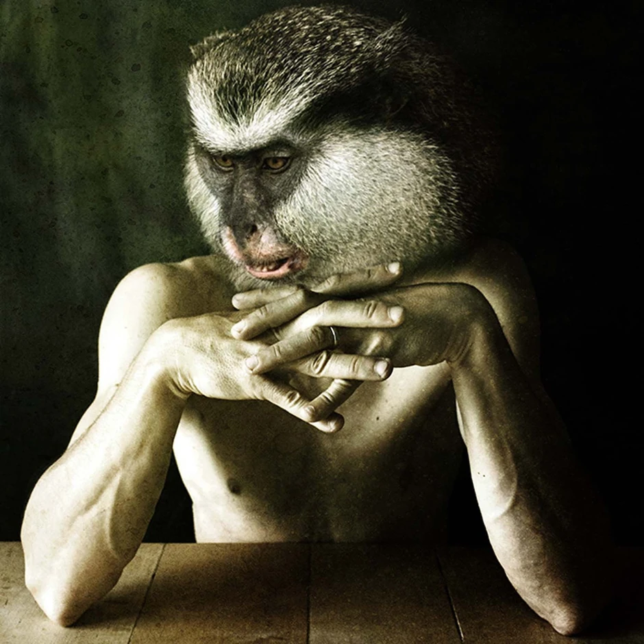 Foto: Francesco Sambo