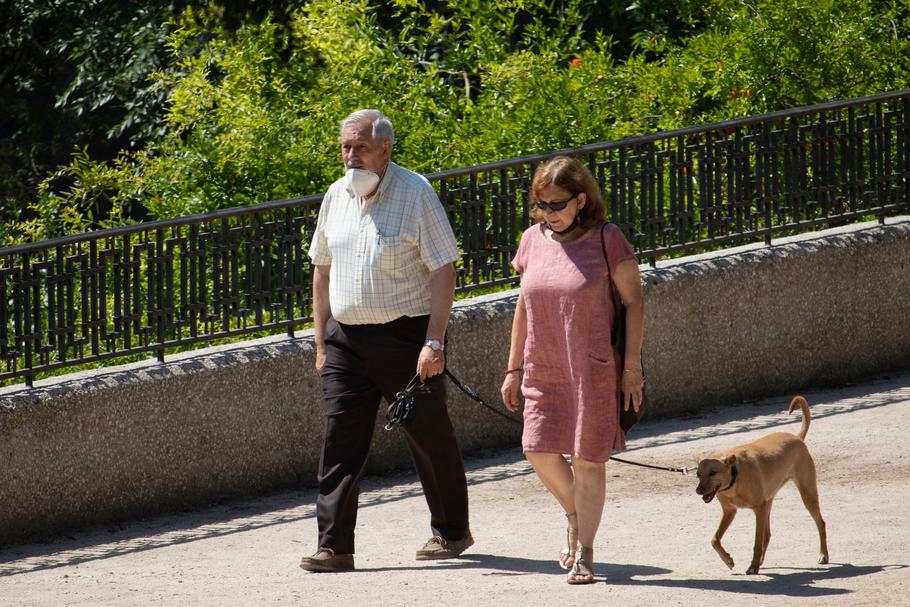 Obowiązek uiszczania opłaty od psa zapisano w ustawie o podatkach i opłatach lokalnych z 12 stycznia 1991 r. Seniorzy w Polsce są zwolnieni z podatku od psa