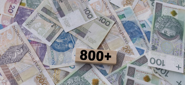 800 plus dla Ukraińców. Rząd nie będzie tolerował "kombinatorów"