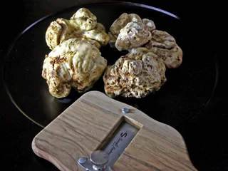 Italy, Alba: White truffles