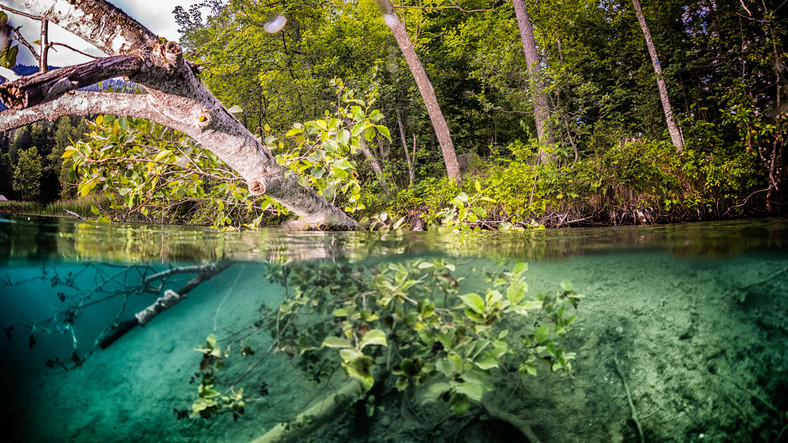 Przejrzysta woda Weissensee, Karyntia