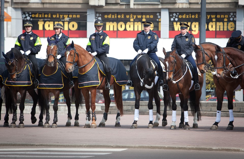 ŁÓDŹ SZKOLENIE KONNEJ STRAŻY MIEJSKIEJ