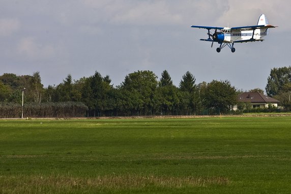 Alert RCB: szczepionka dla lisów będzie zrzucana z samolotów