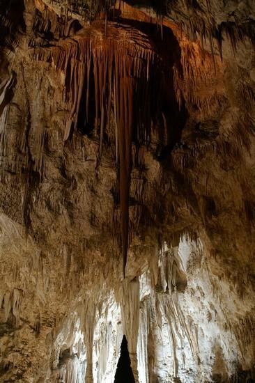 Galeria USA - Carlsbad Caverns, obrazek 14