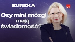 czy mini-mózgi mają świadomość? [eureka - odkrycie tygodnia]