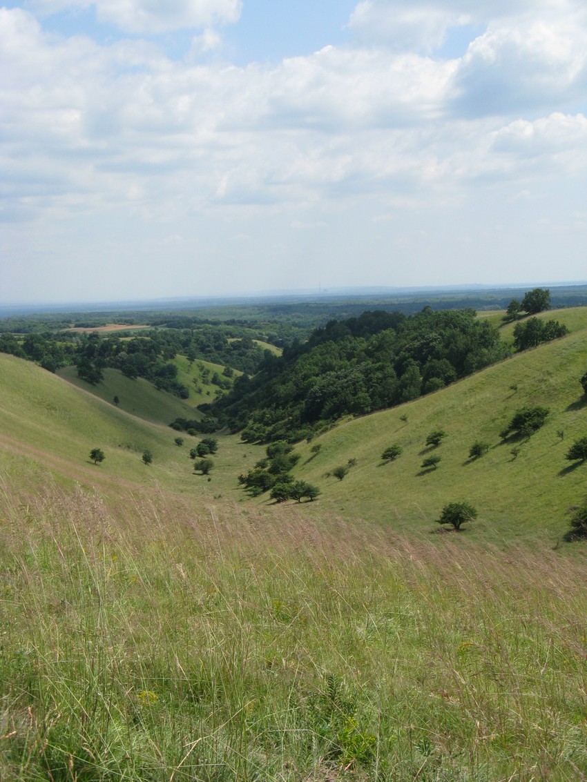 Deliblatska peščara