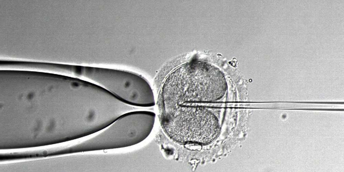 Niebywałe dziecko z in vitro! Jako embrion było zamrożone 18 lat!