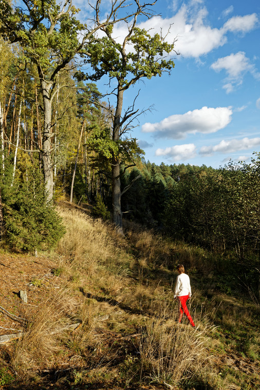 Wdecki Park Krajobrazowy