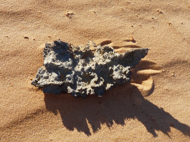 Fulguryt przypomina trynityt, ale powstaje w warunkach naturalnych np. przez uderzenie pioruna na pustyni.