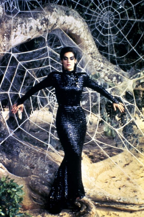 "Pocałunek kobiety pająka": kadr z filmu (1985)