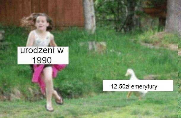 Najlepsze memy 2019 r.