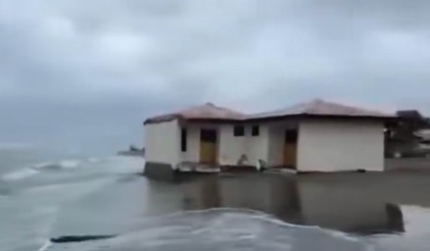 More guta kućice na Adi Bojani