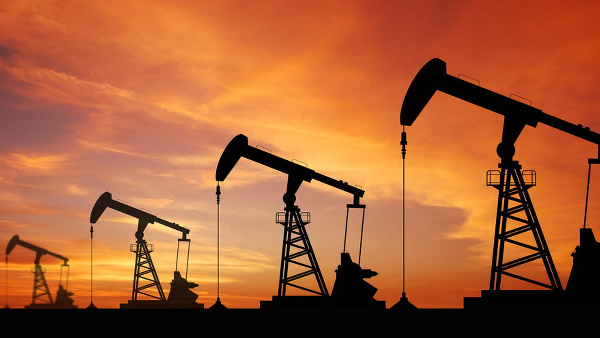 Rosyjskie firmy naftowe zwiększyły intensywność odwiertów sygnalizując, że największy światowy producent ropy jest gotów na długą walkę o rynek z OPEC, będąc w stanie znieść spadek cen nawet do 35 dolarów za baryłkę - napisał Reuters.