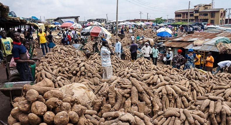 Step by step process of making money in yam trading