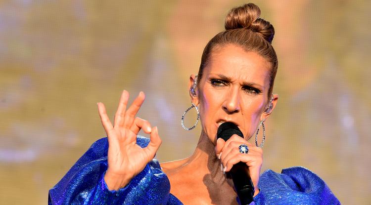 Vagány! Céline Dion magyar márkában feszített