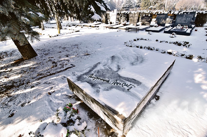Pisci su preneti u aleju još devedesetih godina