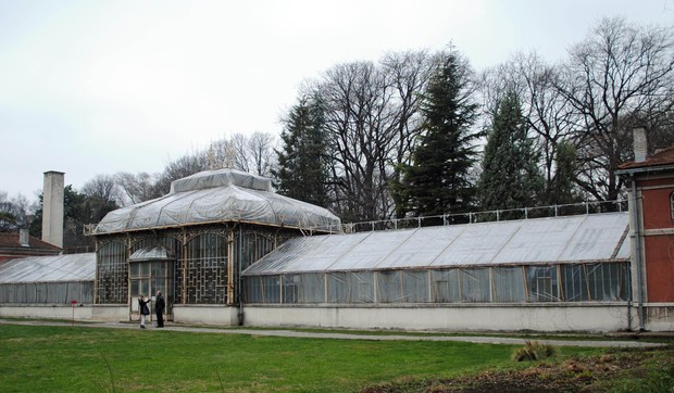 7497_bgd06-botanicka-foto-v-stancevic