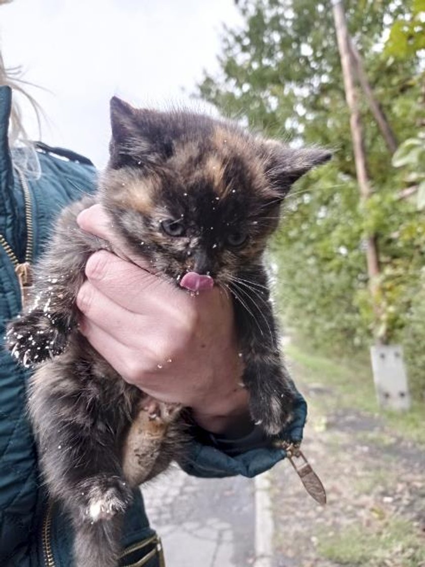 Policjant z żoną ratują zwierzęta