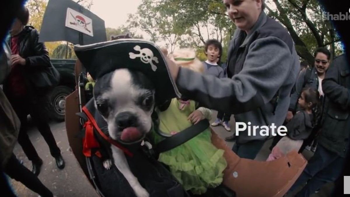 686646_pseca-noc-vestica-foto-youtube-mashable