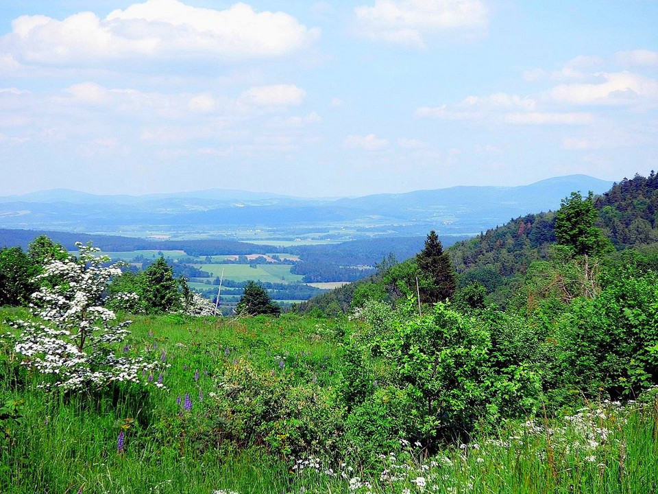 Niemojów - wymierające miasteczko w Górach Bystrzyckich