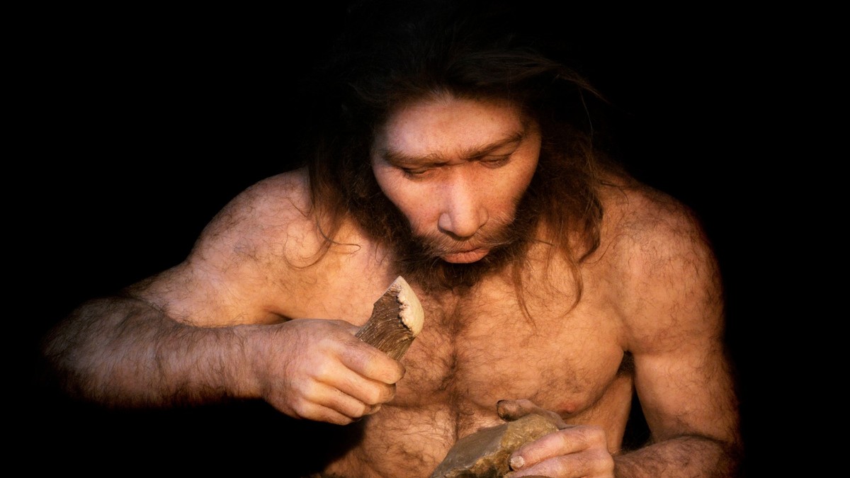 neanderthal