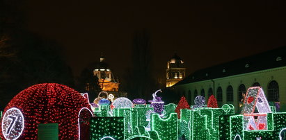 Wilanów zaprasza do Labiryntu Światła