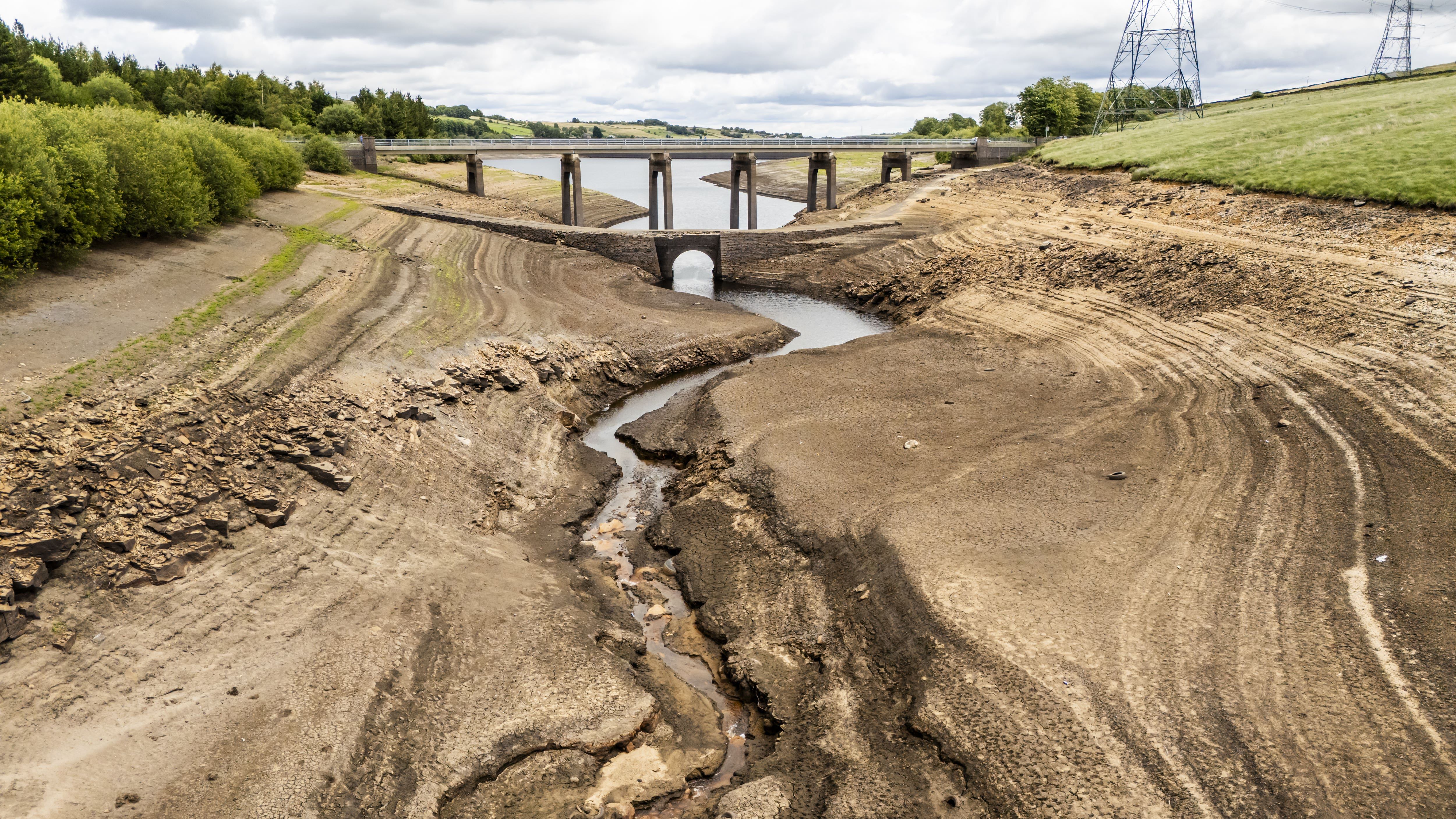 Yorkshire drought: Driest since 1959 with record low rain