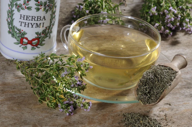 Majčina dušica ne samo da povećava eliminisanje sekreta, nego čak i smanjuje i reguliše njegovo stvaranje