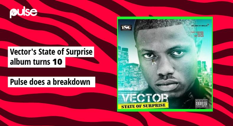 Vector - State of Surprise. [YSG/Pulse Nigeria]