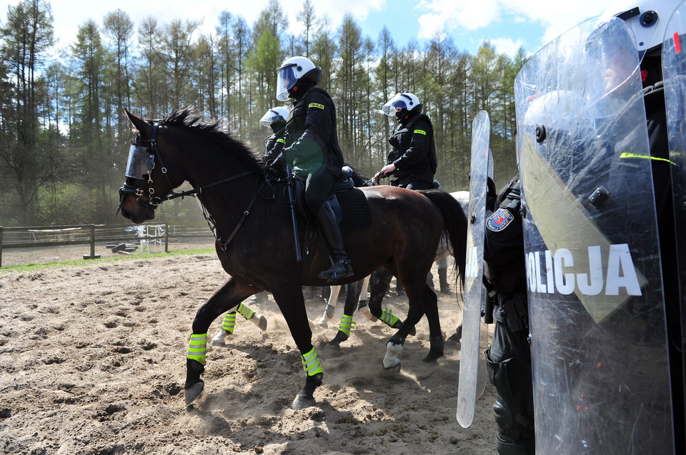 testy dla koni w policji