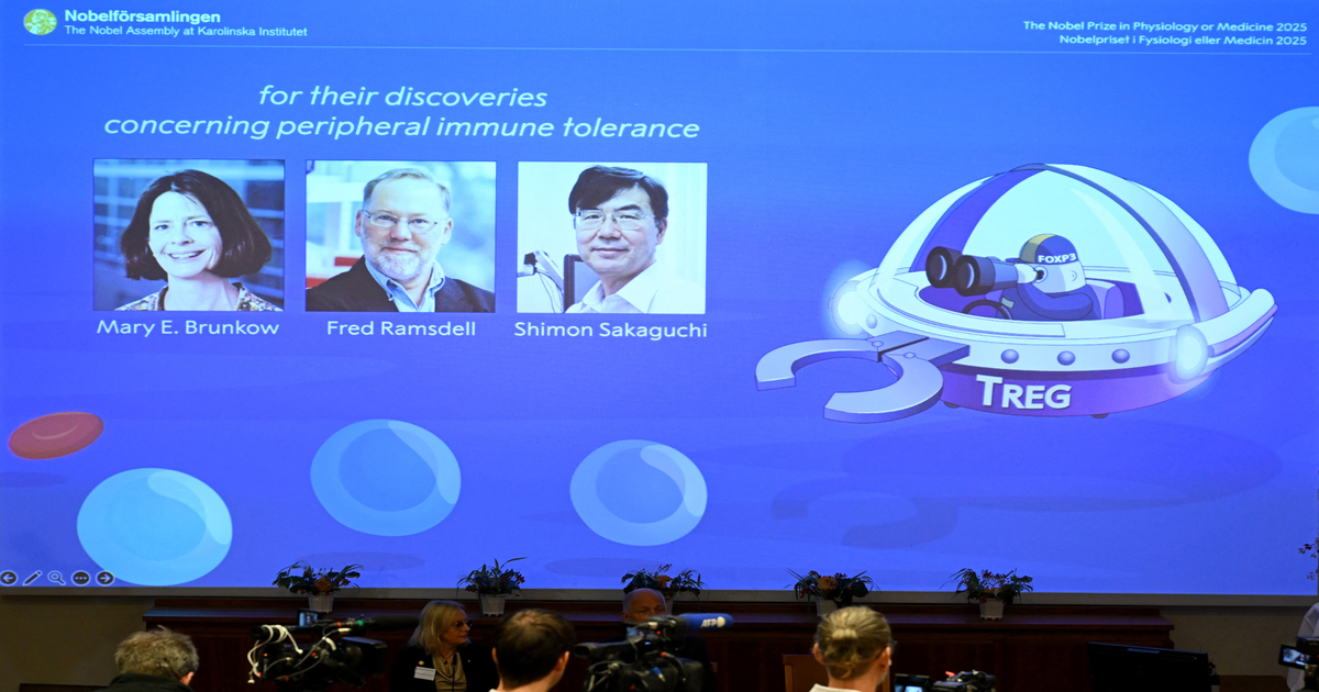 Nobel Medicina 2025: Trio rivoluziona difese immunitarie