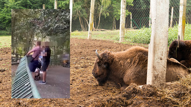 Kupili bilety, a zwierzęta "nic nie robiły". Skandaliczne zachowanie w zoo [WIDEO]