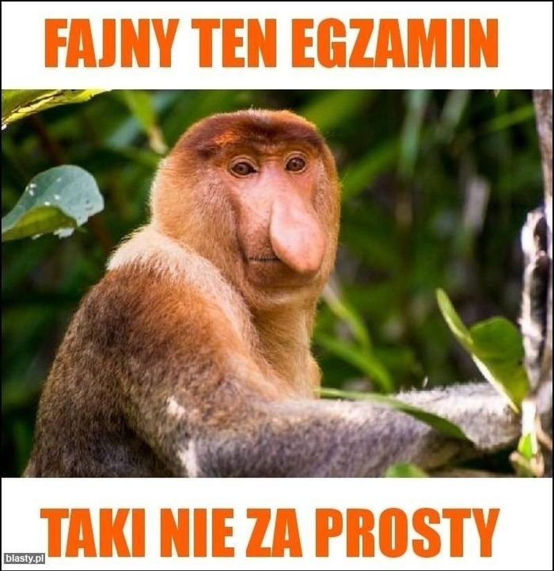 Egzamin ósmoklasisty