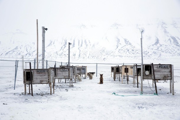 The Wider Image: Research in the Arctic