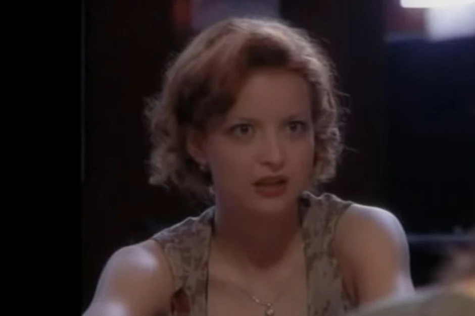 Jelena Stupljanin, serija "Lisice"