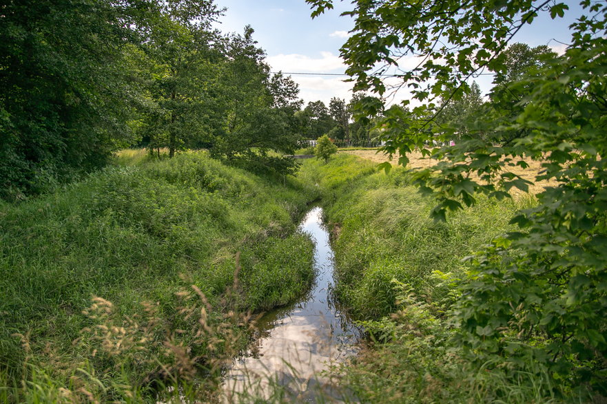 Rzeka Sokołówka w Łodzi 