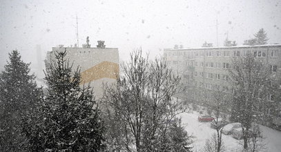 Jest nowa prognoza IMGW. Wiosna nie przyjdzie prędko. Nadchodzi atak zimy