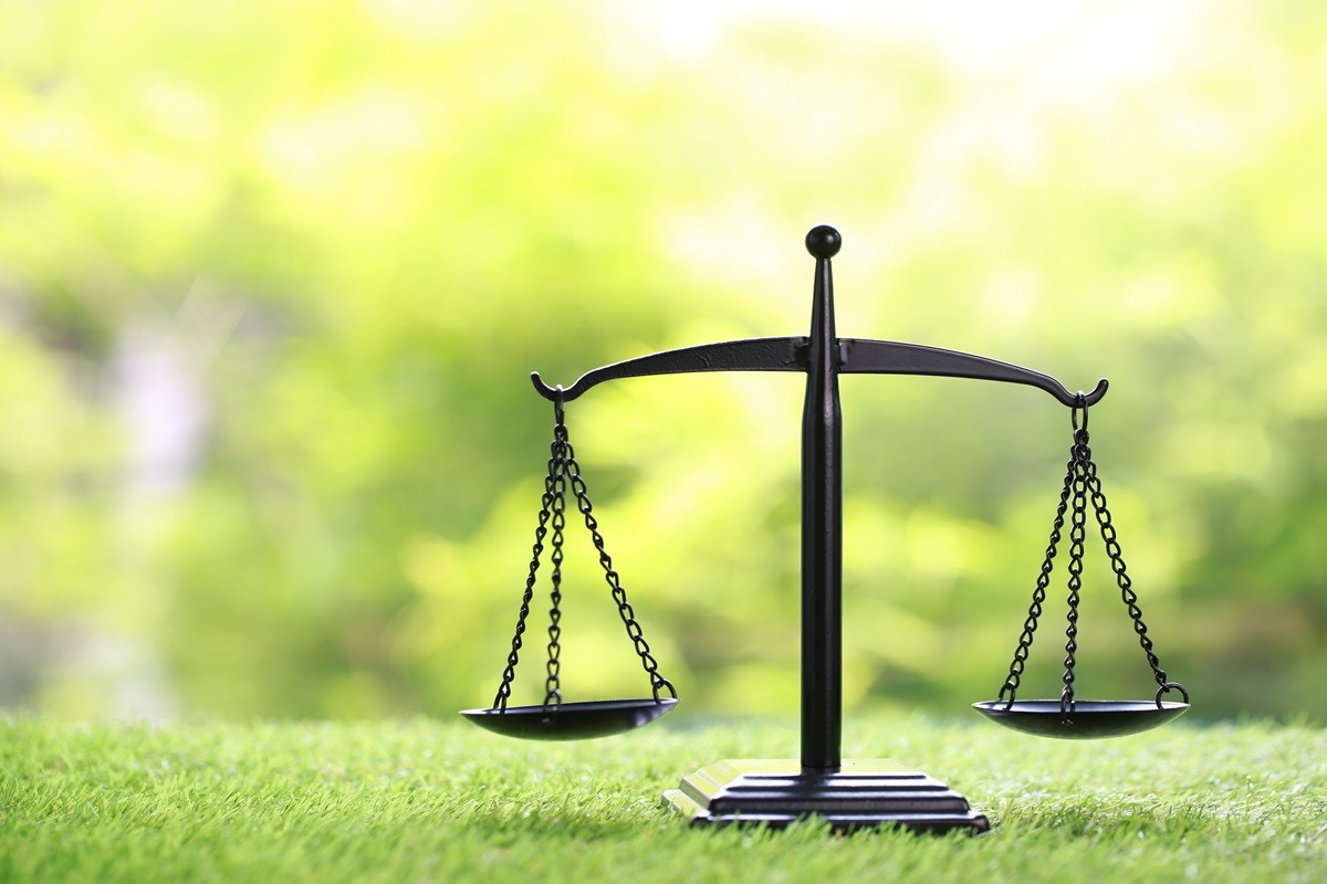 nieruchomości, właściciel, posiadanie, zasiedzenie, dziedziczenie