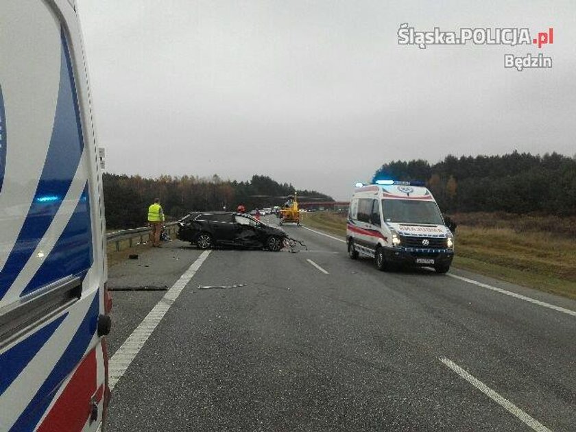 Zginęli jadąc ratować kota