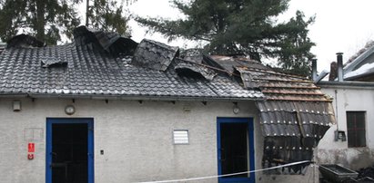 Tragedia w opolskim zoo. Spłonęło 300 zwierząt!