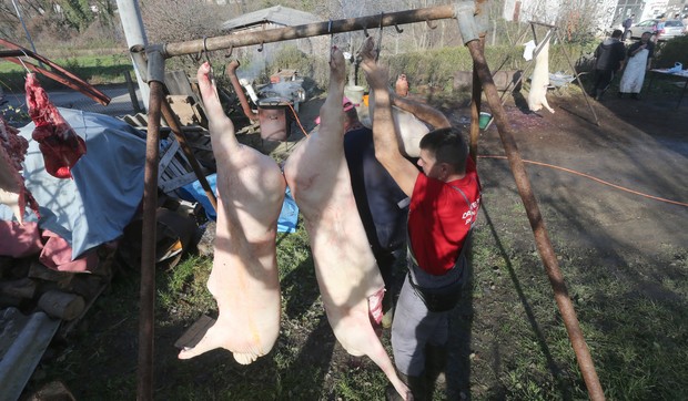 Svinjokolj Banjaluka Prijacani