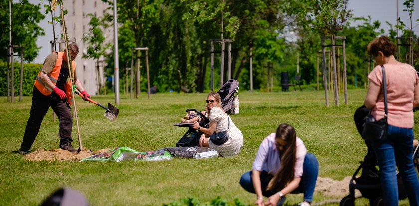 Rodzice zakasali rękawy i posadzili drzewa w Tychach. Każde to symbol!