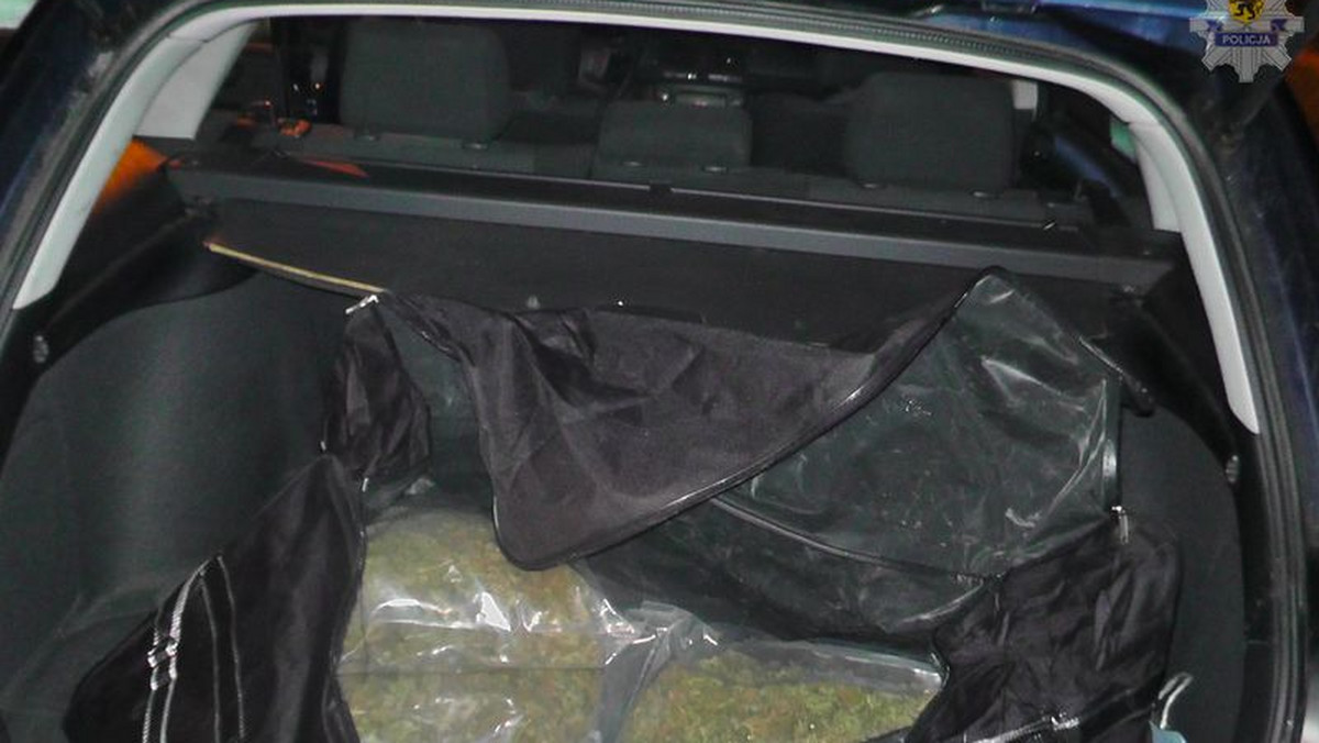Zaskakującego odkrycia dokonali policjanci wejherowskiej policji. Podczas kontroli drogowej nakryli "taksówkarza", który w bagażniku przewoził kilka worków foliowych wypchanych marihuaną. Czarnorynkowa wartość "towaru" to 60 tysięcy złotych.