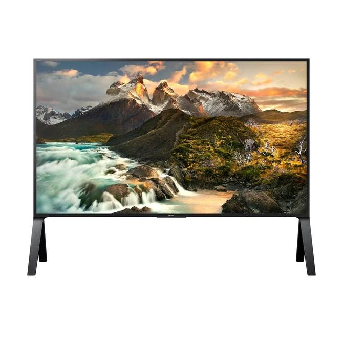 Sony Bravia B2B FWD-100ZD9501