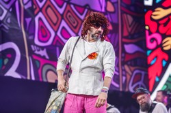 Neo-Nówka kpi z wiceministra, wesela i ciągnika